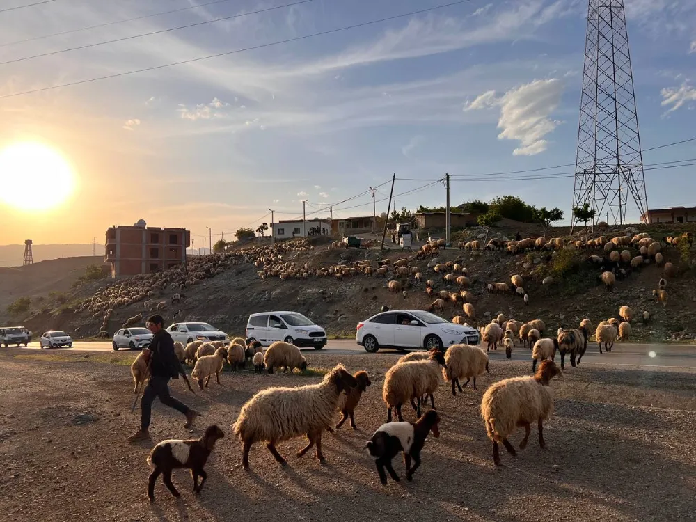 FARAŞİN YAYLASI’NA YOLCULUK BAŞLADI