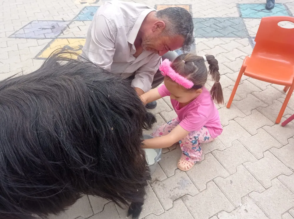 ŞIRNAK’TA MİNİKLER KEÇİ SAĞIMINI UYGULAMALI GÖRDÜ