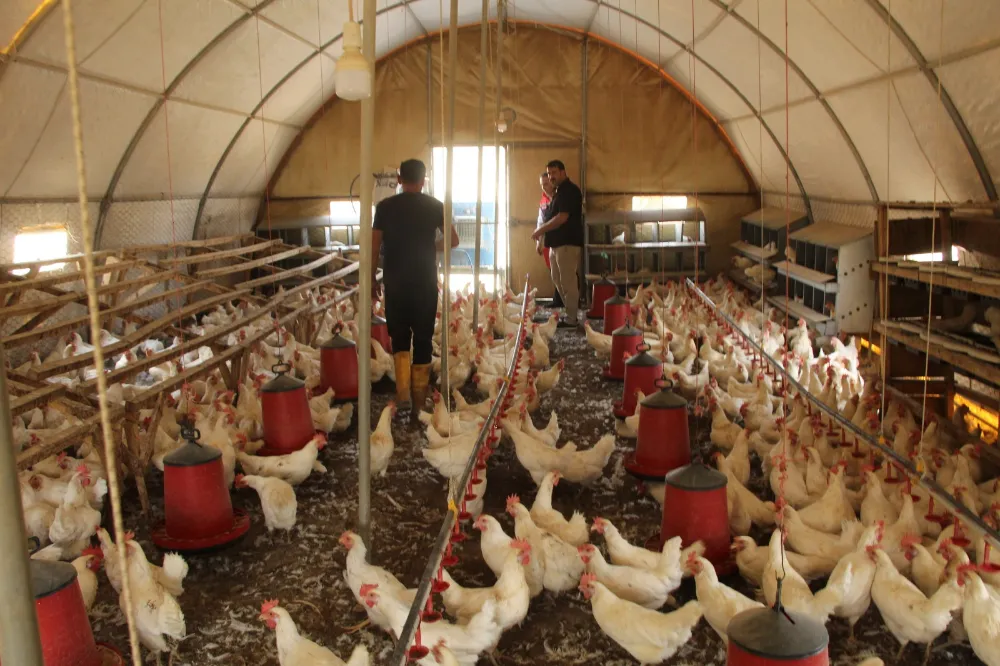 30 TAVUKLA BAŞLADI, BİN 700 TAVUĞA ULAŞTI
